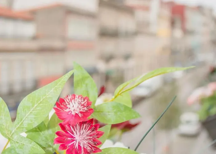 Apartamento Liiiving In - Ribeira Secret *